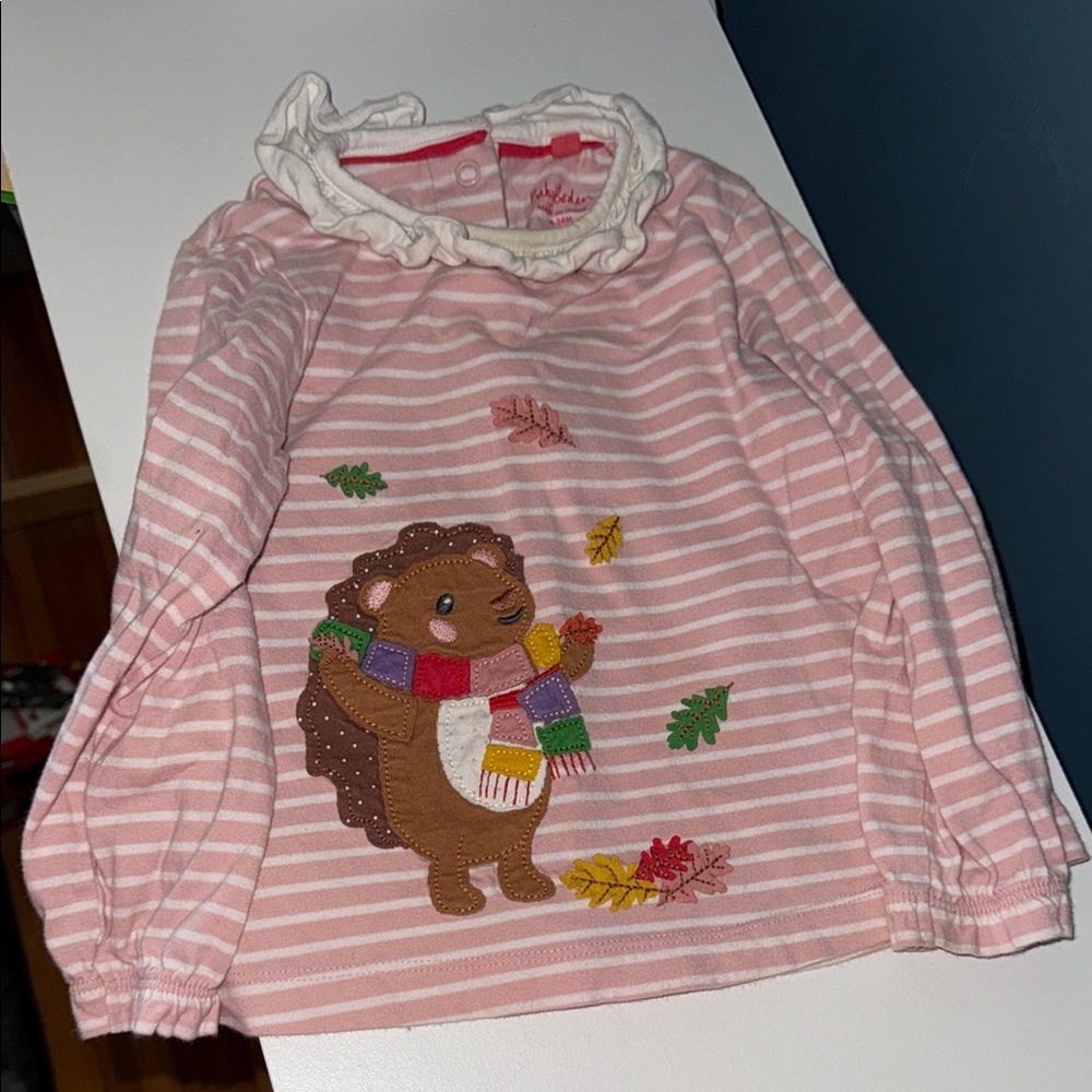 Pink Striped Kids Shirt with Hedgehog Design